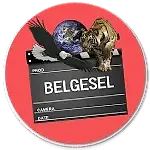 Belgesel Seslendirme