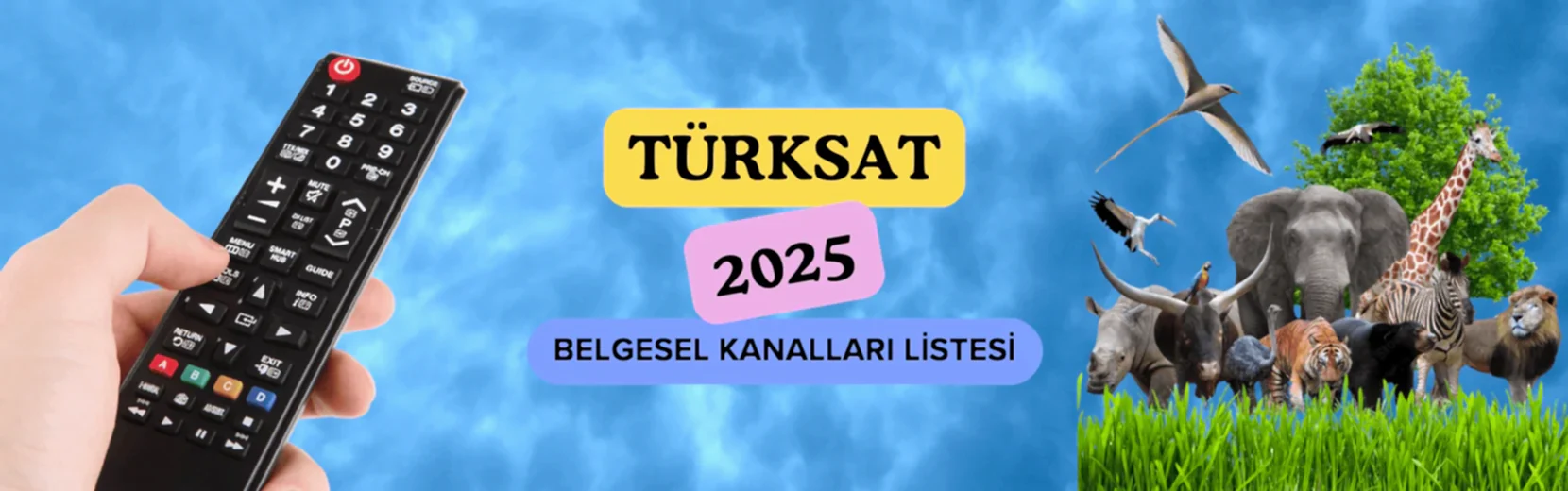 Türksat 4A Belgesel Kanalları Listesi (2025 Güncel)