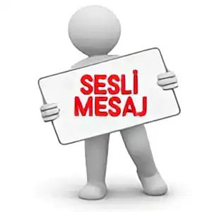 Profesyonel Sesli Mesaj Seslendirme